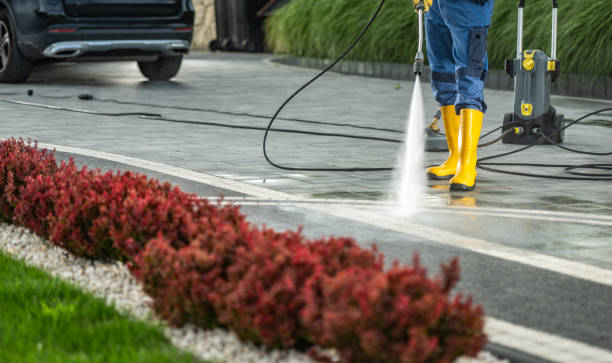 Best Post-Construction Pressure Washing  in London, CA